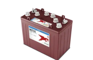 T1275 Golf Cart Battery